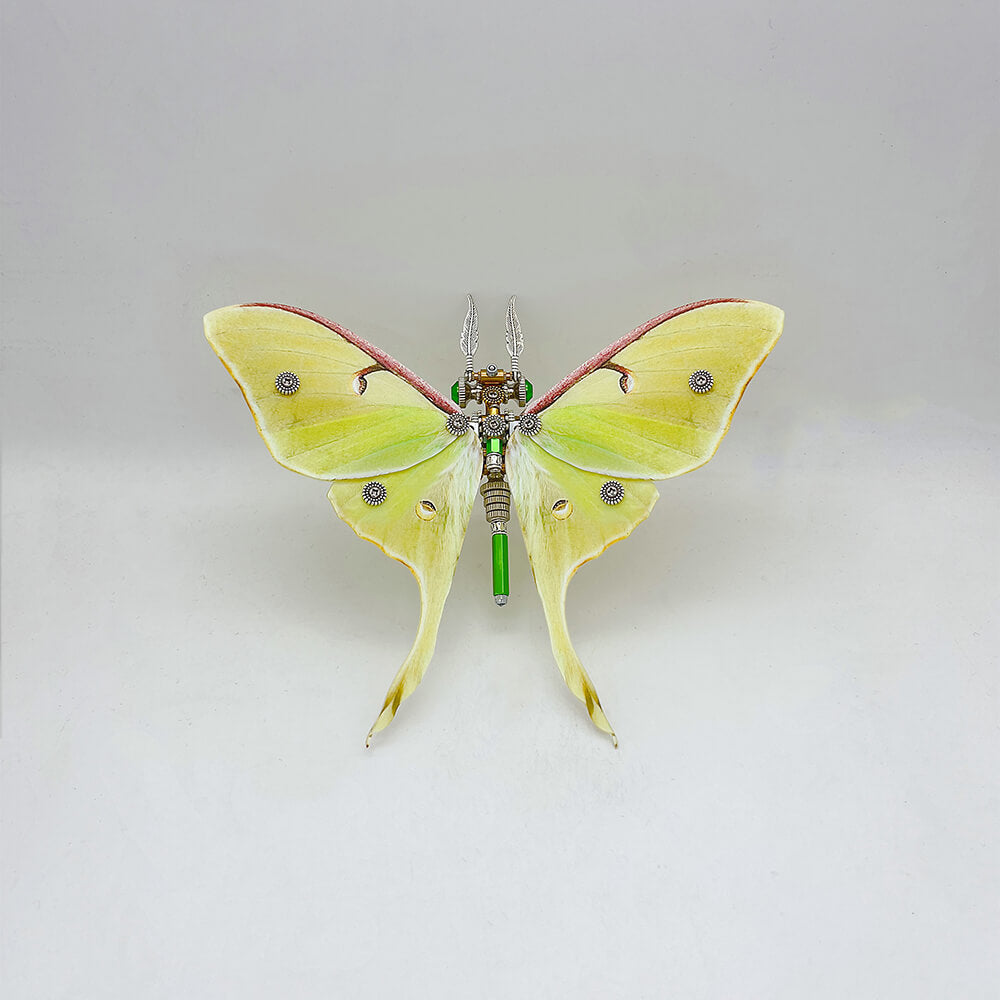 Polilla Steampunk Metal 3D 200 piezas