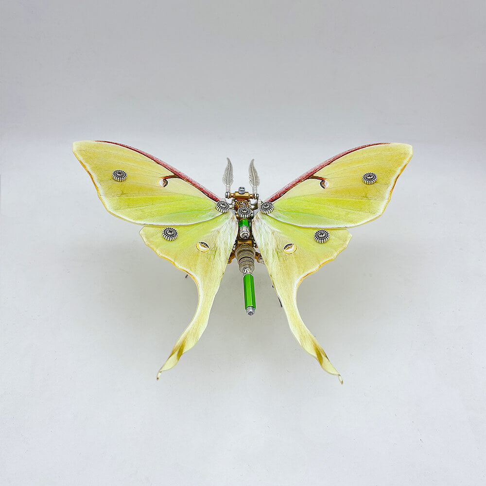 Polilla Steampunk Metal 3D 200 piezas