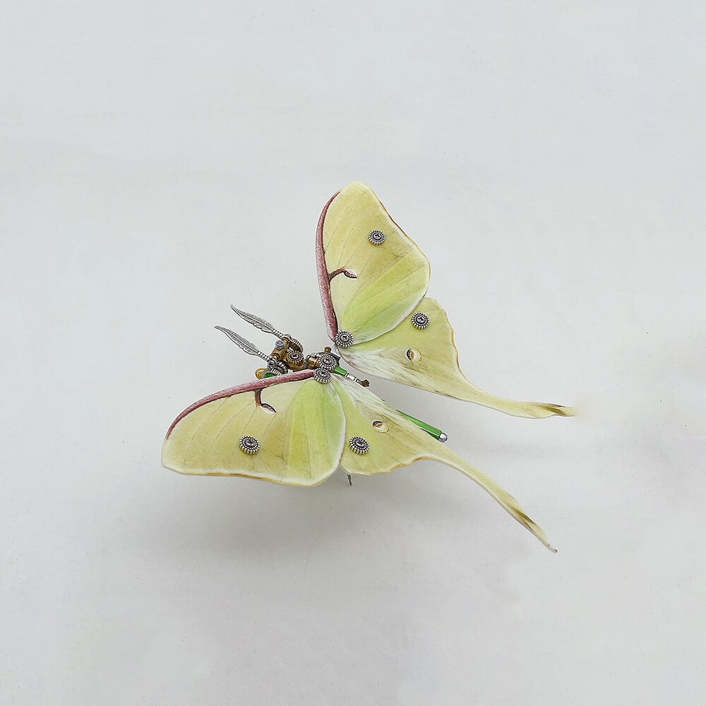 Polilla Steampunk Metal 3D 200 piezas