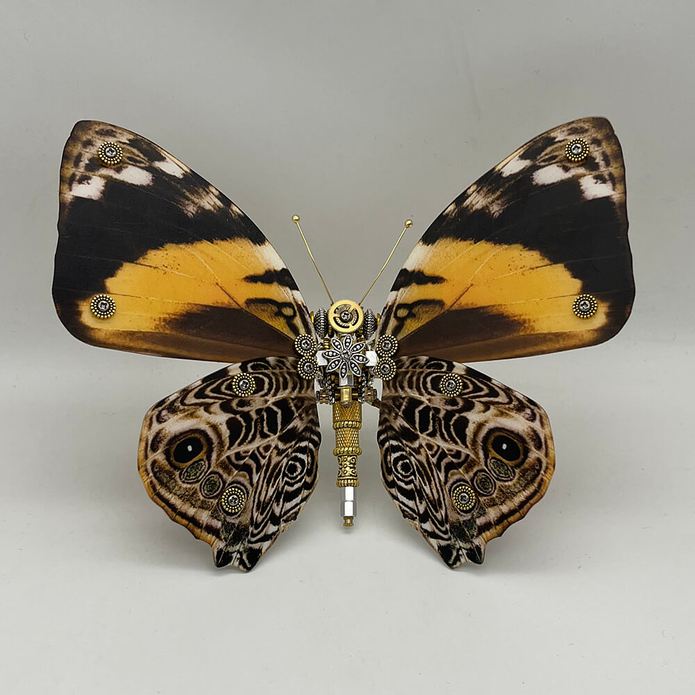 Mariposa Delias Mysis Steampunk Metal 3D 200 piezas