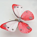 Mariposa Pieris Rapae Steampunk Metal 3D