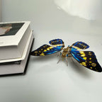 Mariposa Diosa de la Luz Steampunk Metal 3D 200 piezas