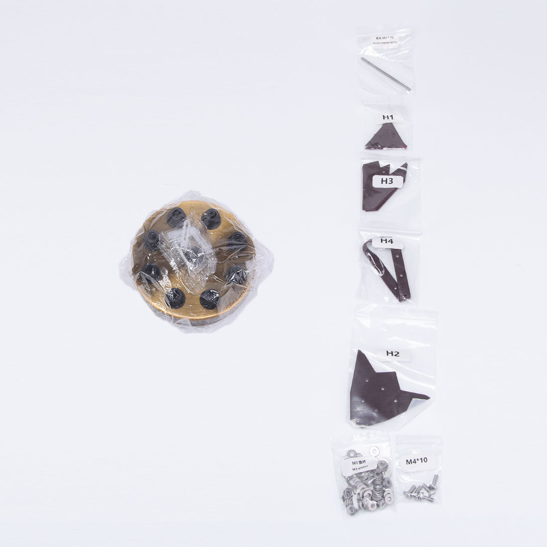 Pez Linterna Steampunk Metal 3D con Base