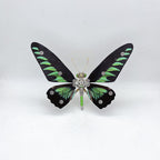Mariposa Adelpha Fessonia Steampunk Metal 3D