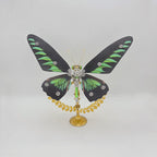 Mariposa Adelpha Fessonia Steampunk Metal 3D