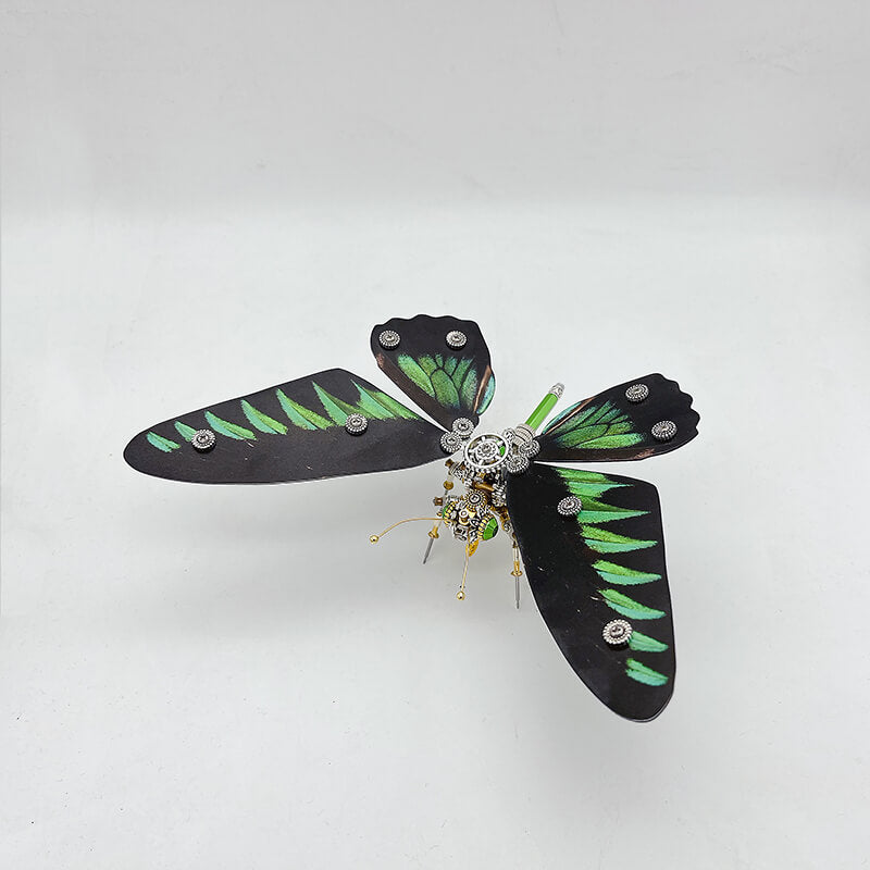 Mariposa Adelpha Fessonia Steampunk Metal 3D