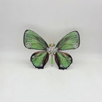 Mariposa Chilades Pandava Steampunk Metal 3D