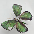 Mariposa Chilades Pandava Steampunk Metal 3D