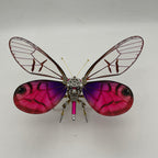 Mariposa Cithaerias Pireta Steampunk Metal 3D 200 piezas
