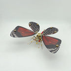 Mariposa Diaethria Dodone Steampunk Metal 3D