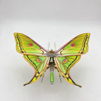 Mariposa Graellsia Isabellae Steampunk Metal 3D