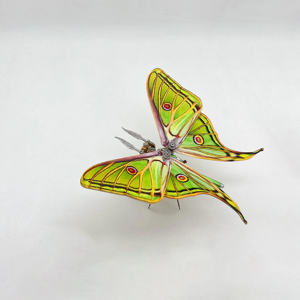 Mariposa Graellsia Isabellae Steampunk Metal 3D