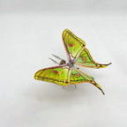 Mariposa Graellsia Isabellae Steampunk Metal 3D
