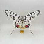 Mariposa Graphium Agamemnon Steampunk Metal 3D