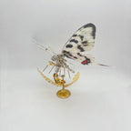 Mariposa Graphium Agamemnon Steampunk Metal 3D