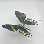 Mariposa Ideopsis Similis Steampunk Metal 3D