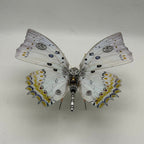 Mariposa Jewelled Nawab Steampunk Metal 3D 200 piezas