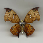 Mariposa Kallima Inachus Steampunk Metal 3D 200 piezas