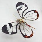 Mariposa Lepidoptera Steampunk Metal 3D