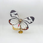 Mariposa Lepidoptera Steampunk Metal 3D