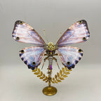 Mariposa Neoris Hewitsoni Steampunk Metal 3D