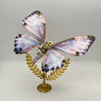 Mariposa Neoris Hewitsoni Steampunk Metal 3D