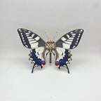 Mariposa Papilio Machaon Steampunk Metal 3D