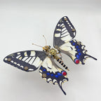 Mariposa Papilio Machaon Steampunk Metal 3D