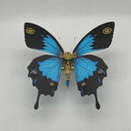 Mariposa Papilio Ulysses Steampunk Metal 3D 200 piezas