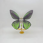Mariposa Troides Aeacus Steampunk Metal 3D