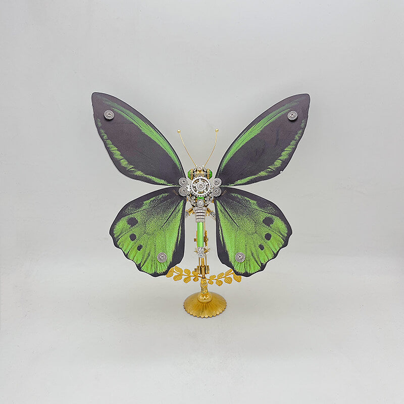 Mariposa Troides Aeacus Steampunk Metal 3D