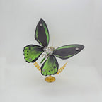 Mariposa Troides Aeacus Steampunk Metal 3D