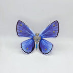 Mariposa Zizina Otis Steampunk Metal 3D