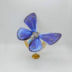 Mariposa Zizina Otis Steampunk Metal 3D