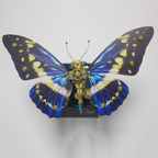 Mariposa Diosa de la Luz Steampunk Metal 3D con Caja Musical