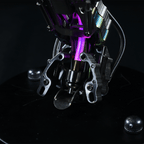 Cobra Real Steampunk Metal 3D con Base