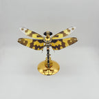 Libélula Alas Moteadas Steampunk Metal 3D