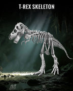 Piececool - Rompecabezas Metálicos 3D, Modelo de Esqueleto de T-Rex