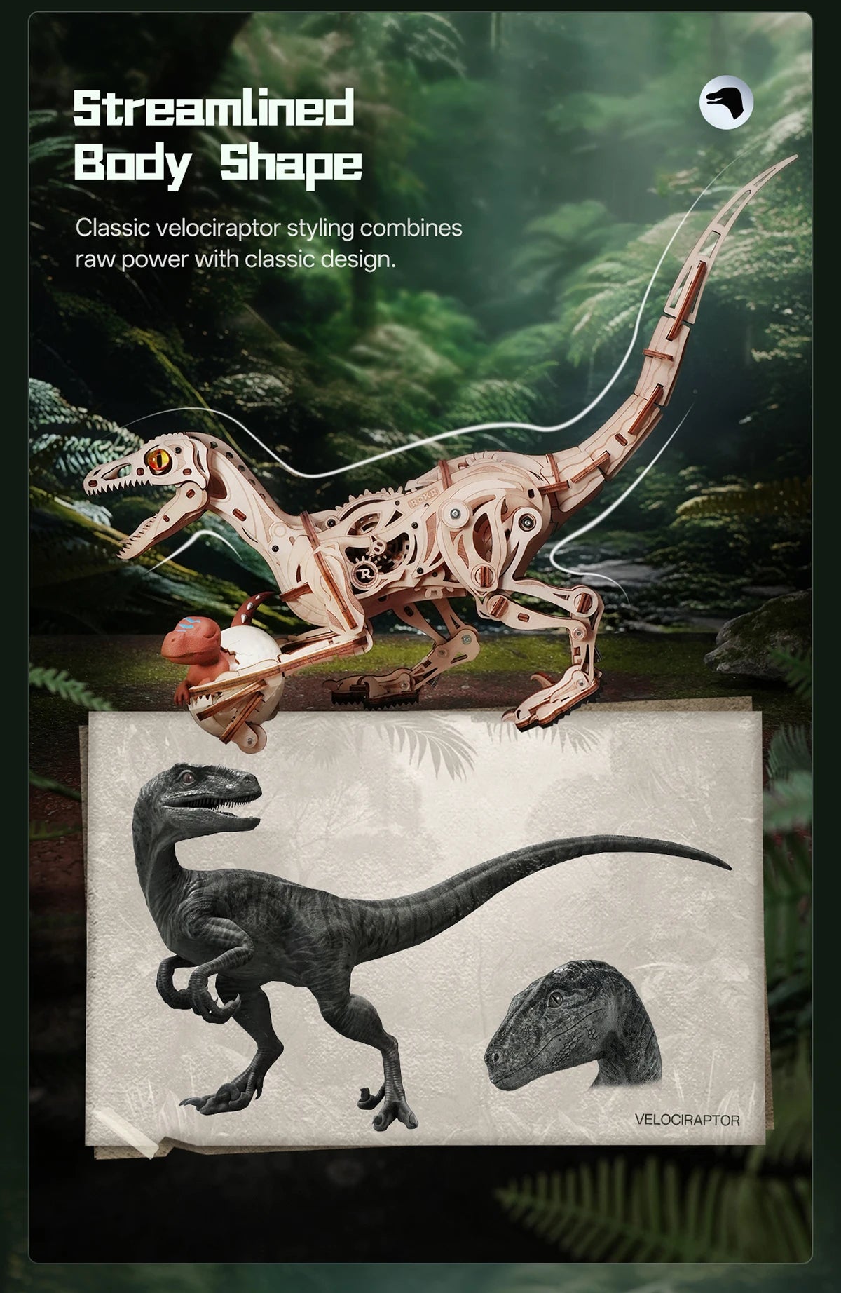 Rompecabezas 3D de Madera Robotime Rokr, Velociraptor Mecánico, Modelo de Velociraptor para Armar, Kit de Construcción Mecánica, Madera 3D LD01