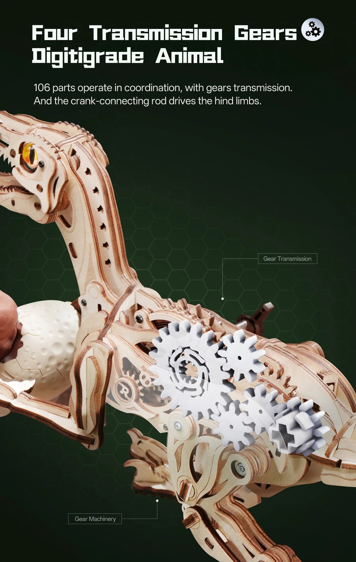 Rompecabezas 3D de Madera Robotime Rokr, Velociraptor Mecánico, Modelo de Velociraptor para Armar, Kit de Construcción Mecánica, Madera 3D LD01