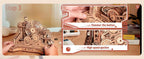 Robotime Rokr Pinball Modelo Gear Ball Challenge 3D Kits de modelos de rompecabezas de madera para construir DIY Juego de mesa Idea de regalo para hombres y mujeres -EGC