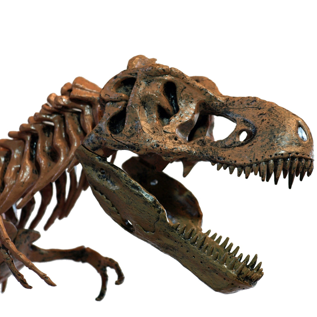 Esqueleto Fósil Tiranosaurio Rex Metal 3D