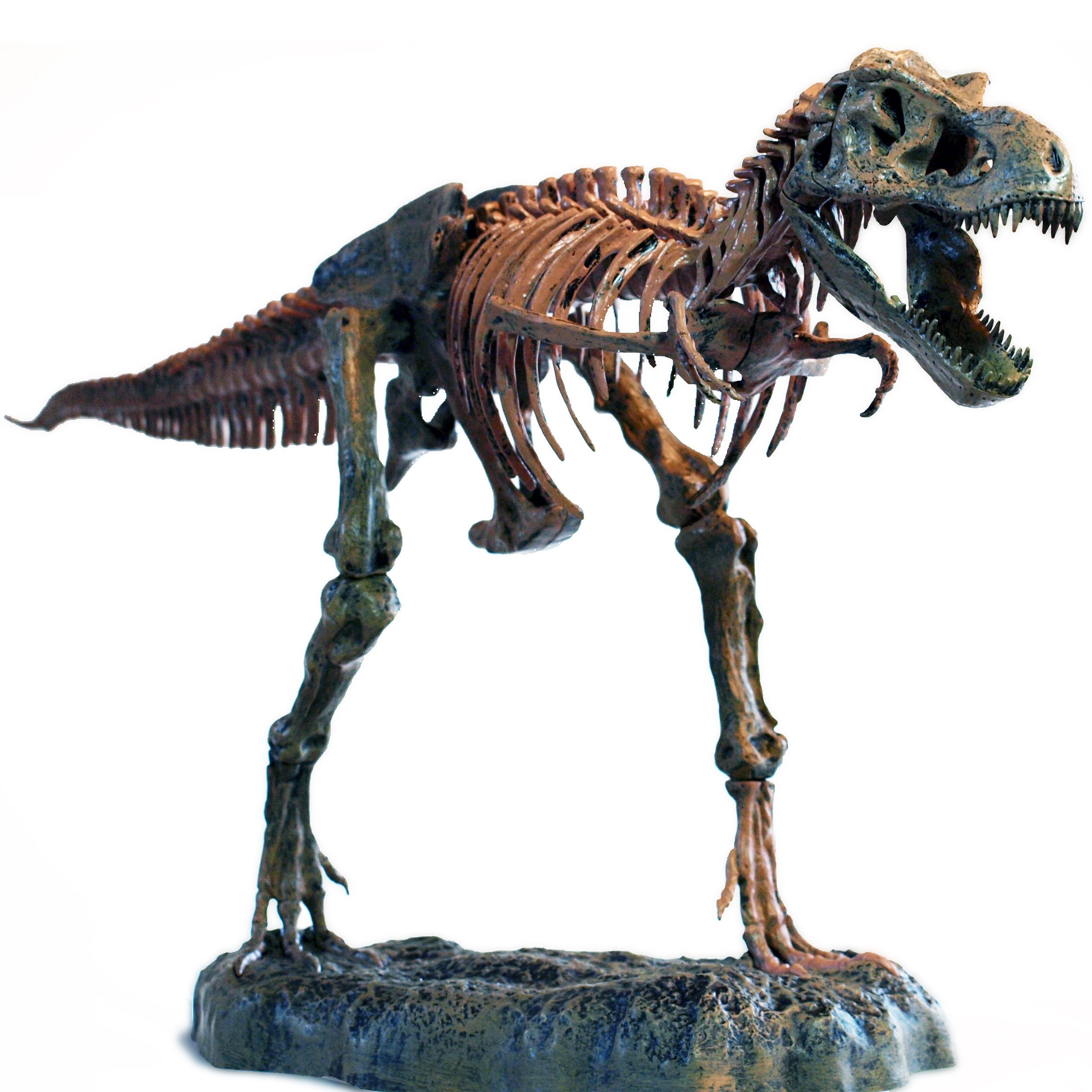 Esqueleto Fósil Tiranosaurio Rex Metal 3D