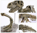 Esqueleto Fósil Tiranosaurio Rex Metal 3D