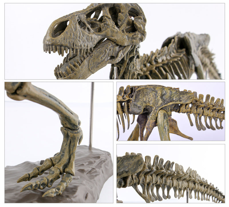 Esqueleto Fósil Tiranosaurio Rex Metal 3D