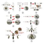 Insectos Steampunk Metal 3D — Mosquito y Abeja